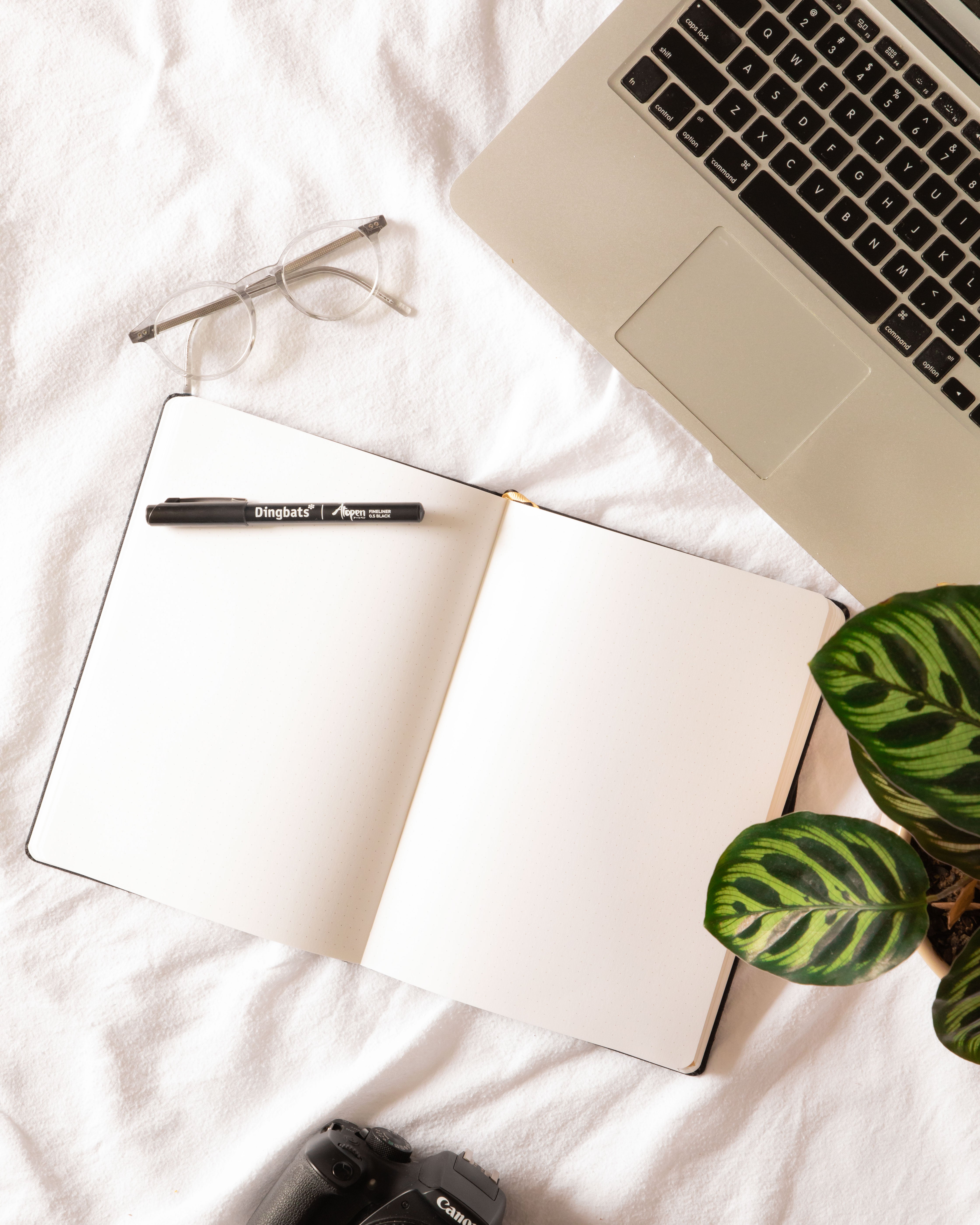 Why Great Thinkers Kept Notebooks: The Habit Behind Big Ideas