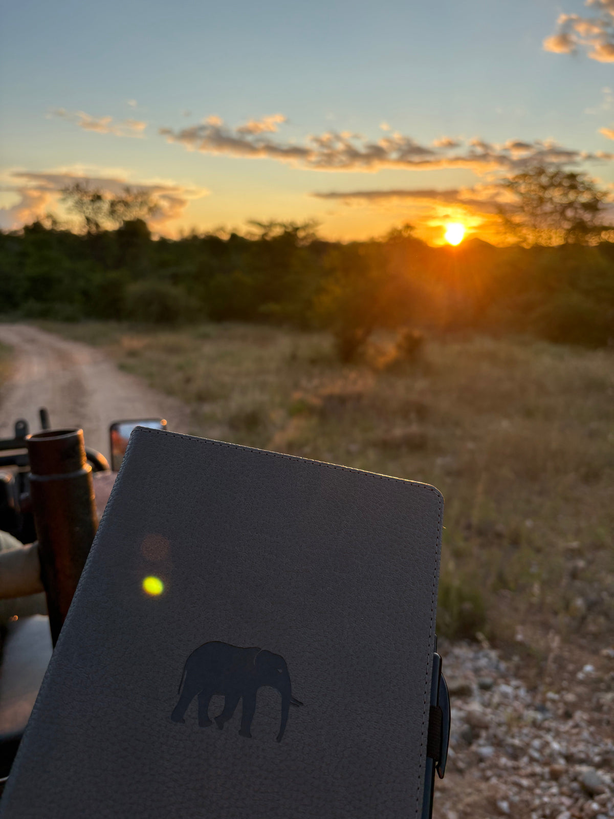 Why Nature-Inspired Notebooks Feel Different