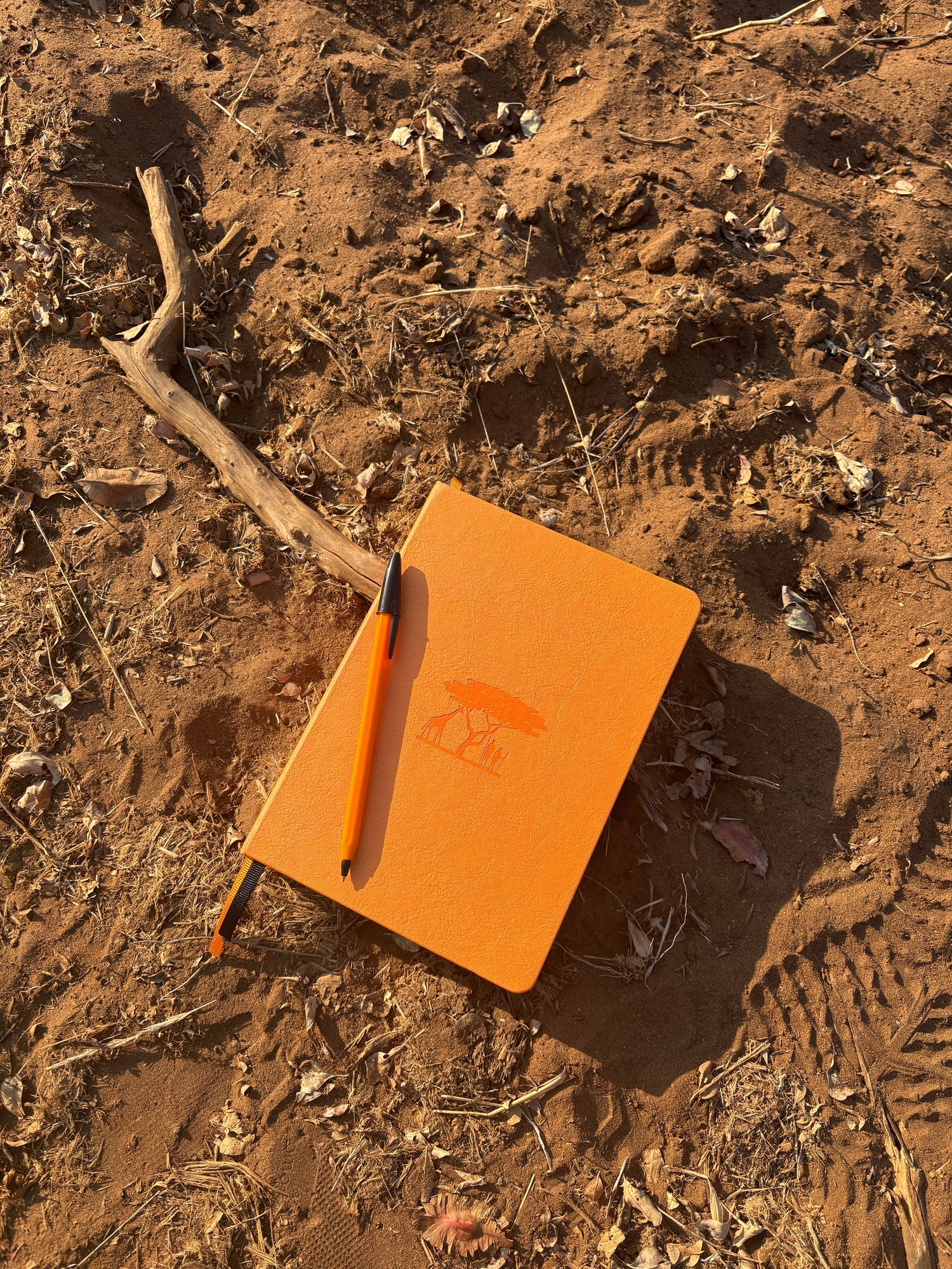 Earth Day 2026: Sustainable Stationery & Eco-Friendly Notebooks | Dingbats*