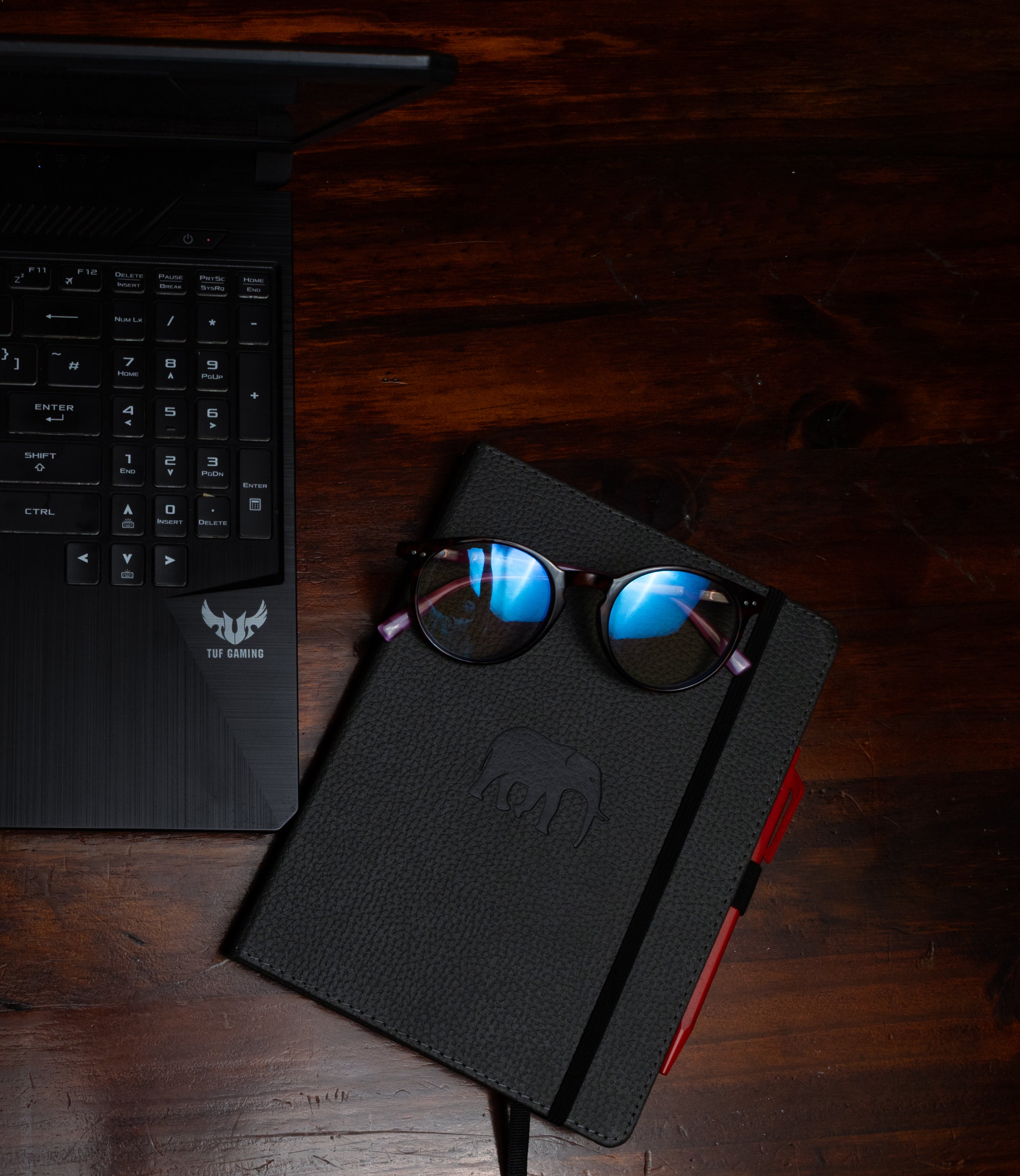 Biophilic Focus: Restoring Attention with Dingbats* Notebooks
