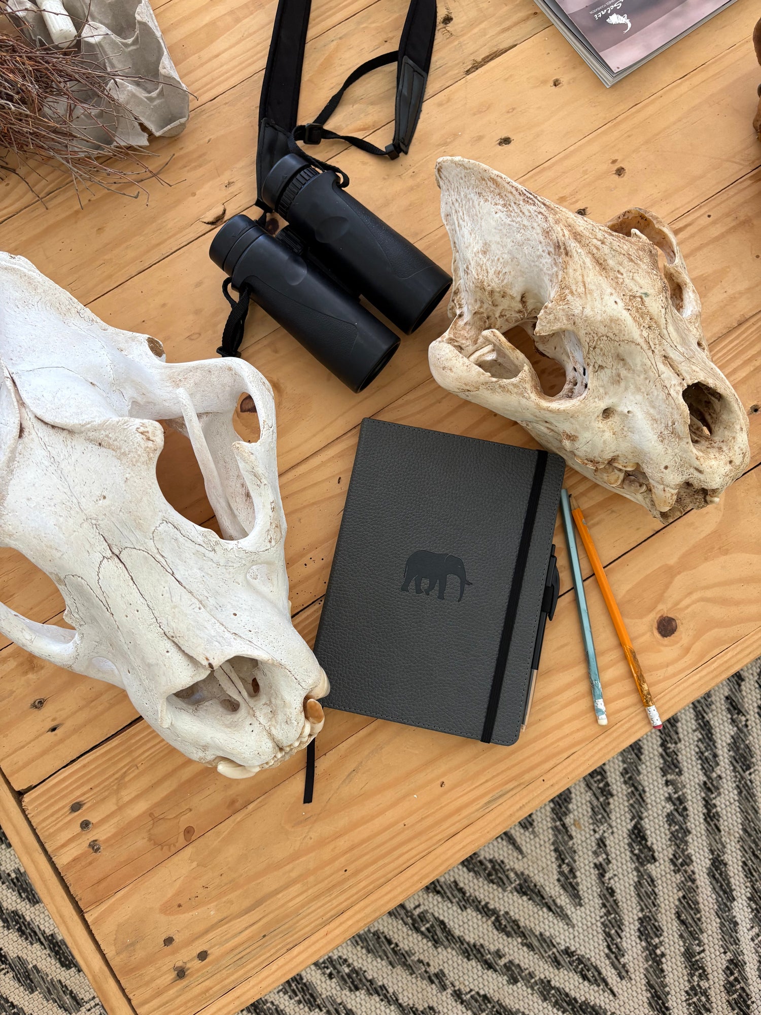 Sustainable Junk Journaling Guide 2026 | Dingbats* Notebooks