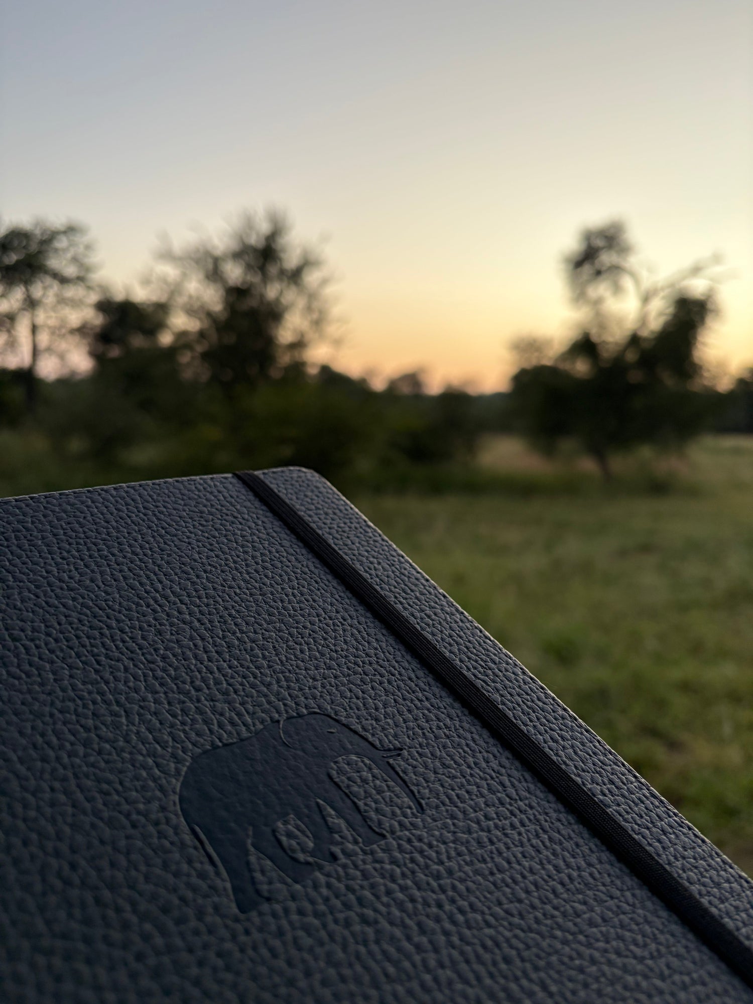 Why Nature-Inspired Stationery Feels More Personal