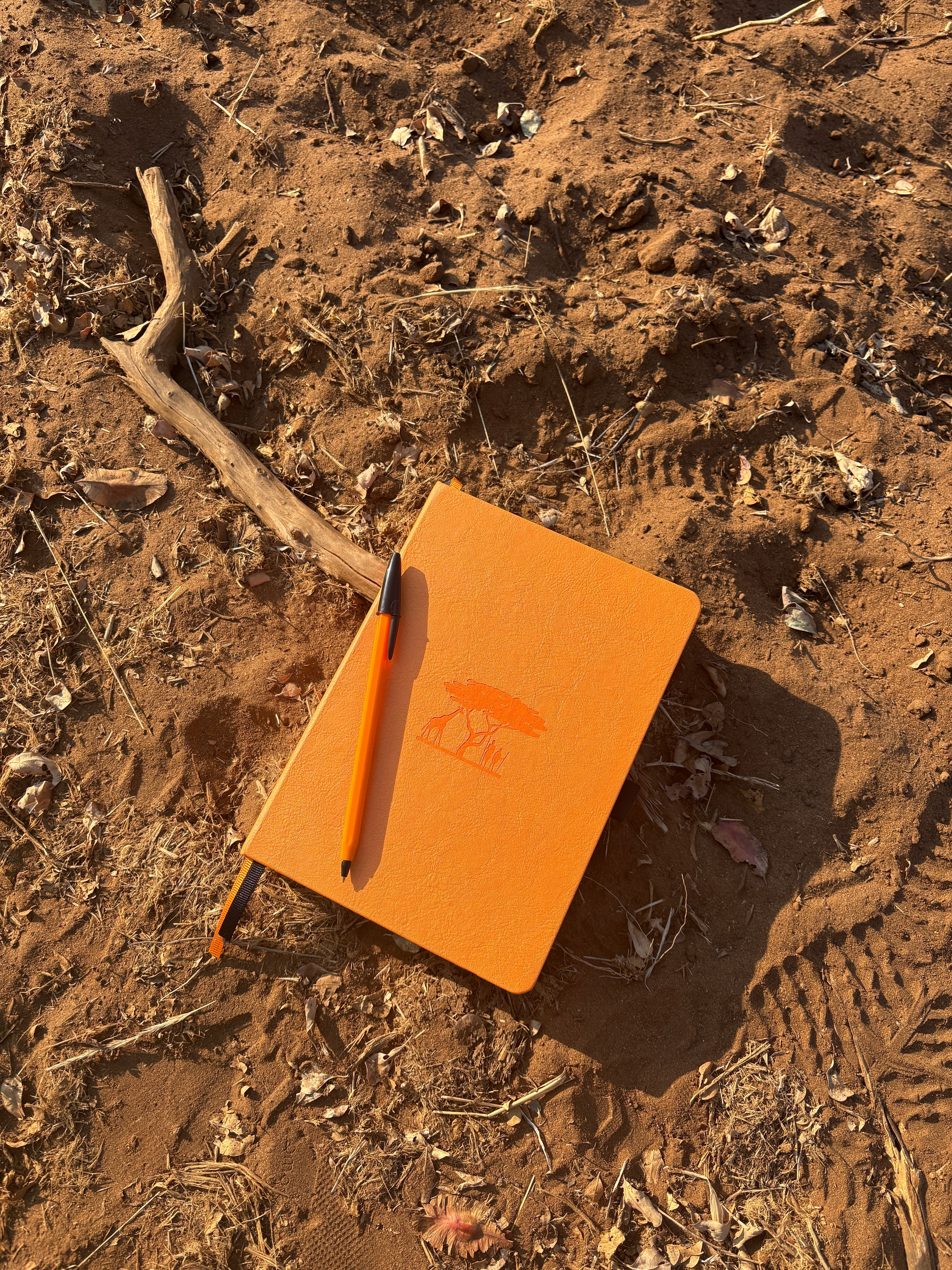 Earth Day 2026: Sustainable Stationery & Eco-Friendly Notebooks | Dingbats*